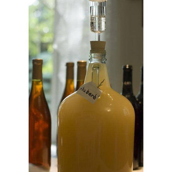 Carboy Fermenter With Alcohol