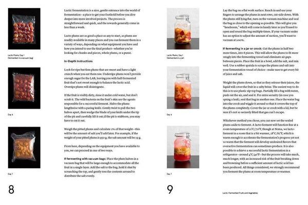 Lacto Fermented Plums recipe inside the Noma Guide to Fermentation