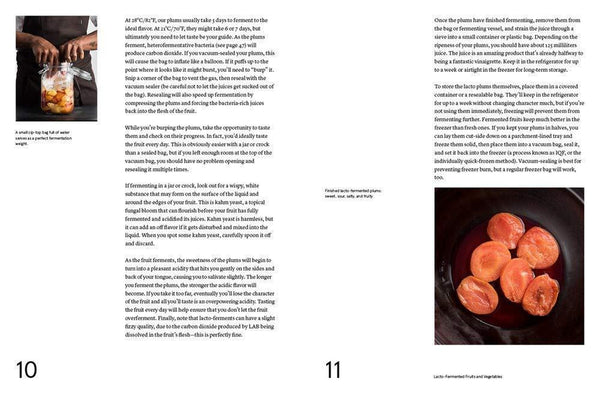 Lacto Fermented Plums recipe inside the Noma Guide to Fermentation
