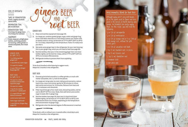 Fermentation Revolution Recette de levain de gingembre