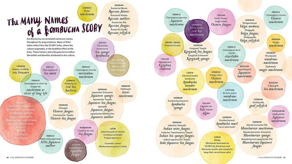 The Big Book of Kombucha recipe page