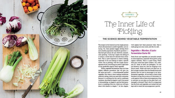 Fermented vegetables book inside recipe pickeling