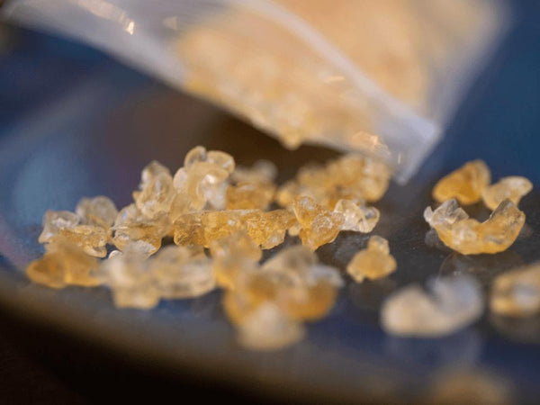 Dehydrated Water kefir Grains