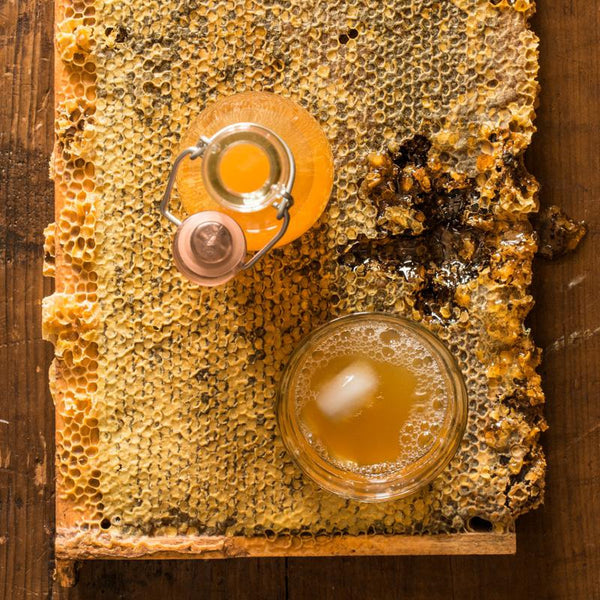 making jun kombucha (honey)