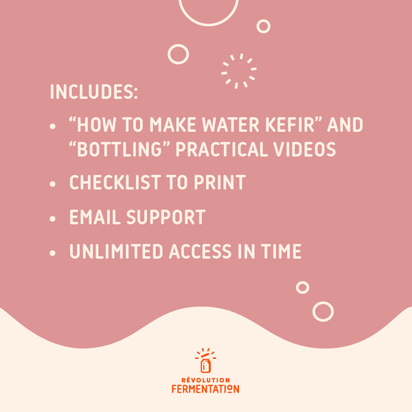 What Water Kefir Making Course Includes