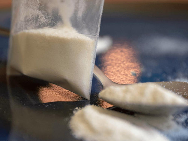 Dehydrated Matsoni Yogurt Culture in bag