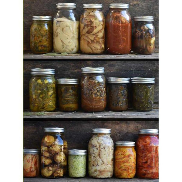 Wildcrafted Fermentations Pascal Baudar