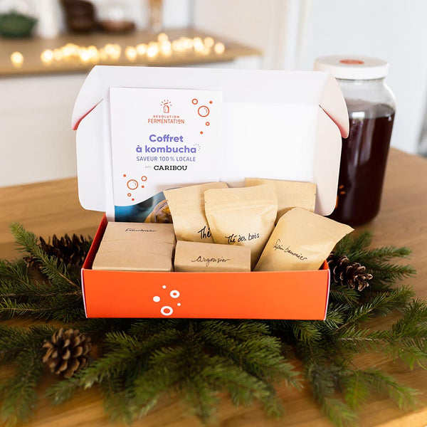 Local Kombucha Making Box