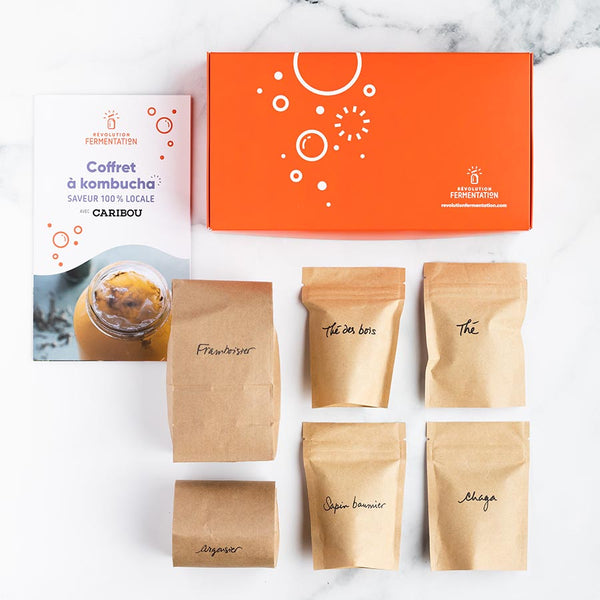 Canadian wild plants kombucha