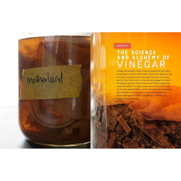 Chapter 2: Science and Alchemy of Vinegar
