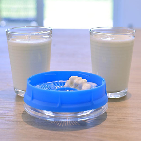 Kefir grains inside the filter lid
