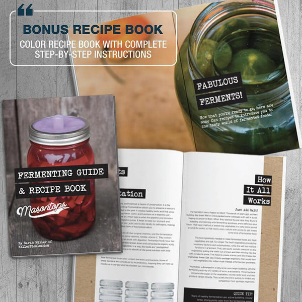 Fermentation guide & recipe book