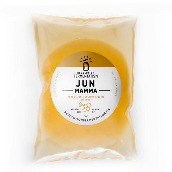 Jun Scoby - Kombucha with honey