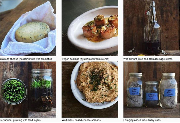 Inside the book "Wildcrafted Fermentation"