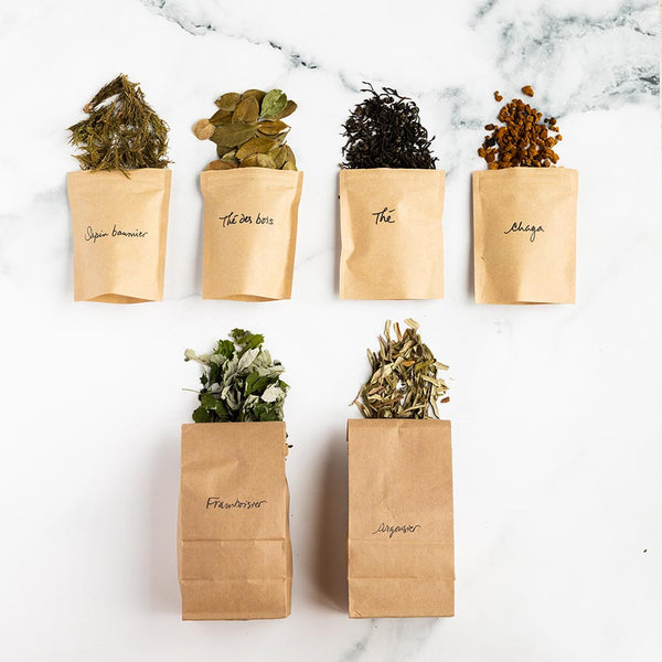 Local plants for making kombucha