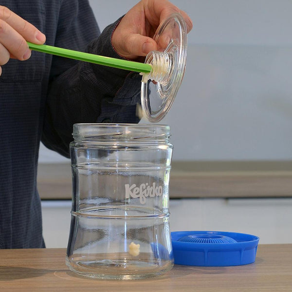 Adding kefir grains to your Kefirko