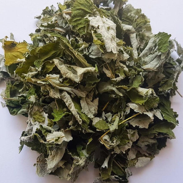 Red raspberry leaves