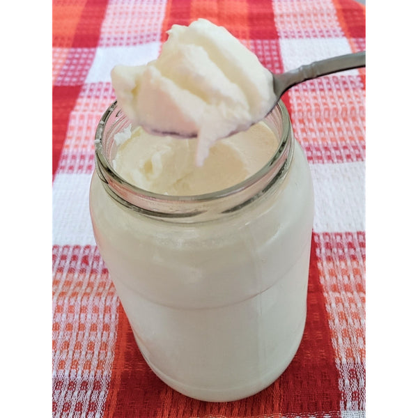 Jar of L. Gasseri Superfood with thick texture on a spoon
