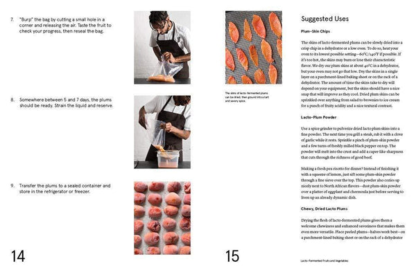 Lacto Fermented Plums recipe inside the Noma Guide to Fermentation