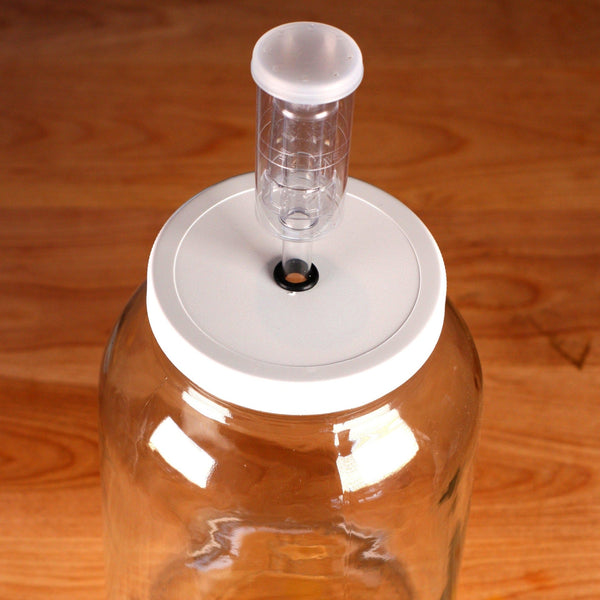 1 gallon glass jar with airlock on the plastic lid