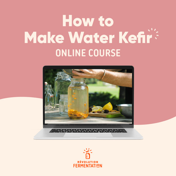 "Water Kefir Making" Online Course