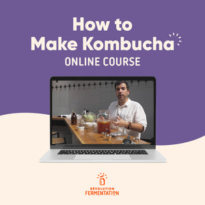 Kombucha Making Online Course
