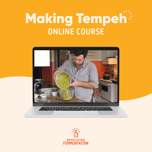 Tempeh Making Online Course
