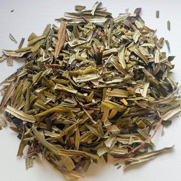 Sea Buckthorn Leaves From Canada