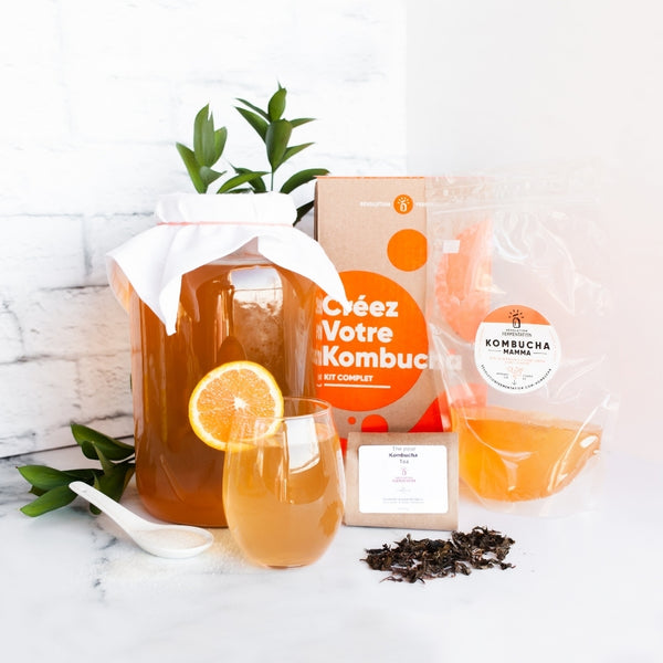 Complete Kombucha Brewing Kit With Scoby