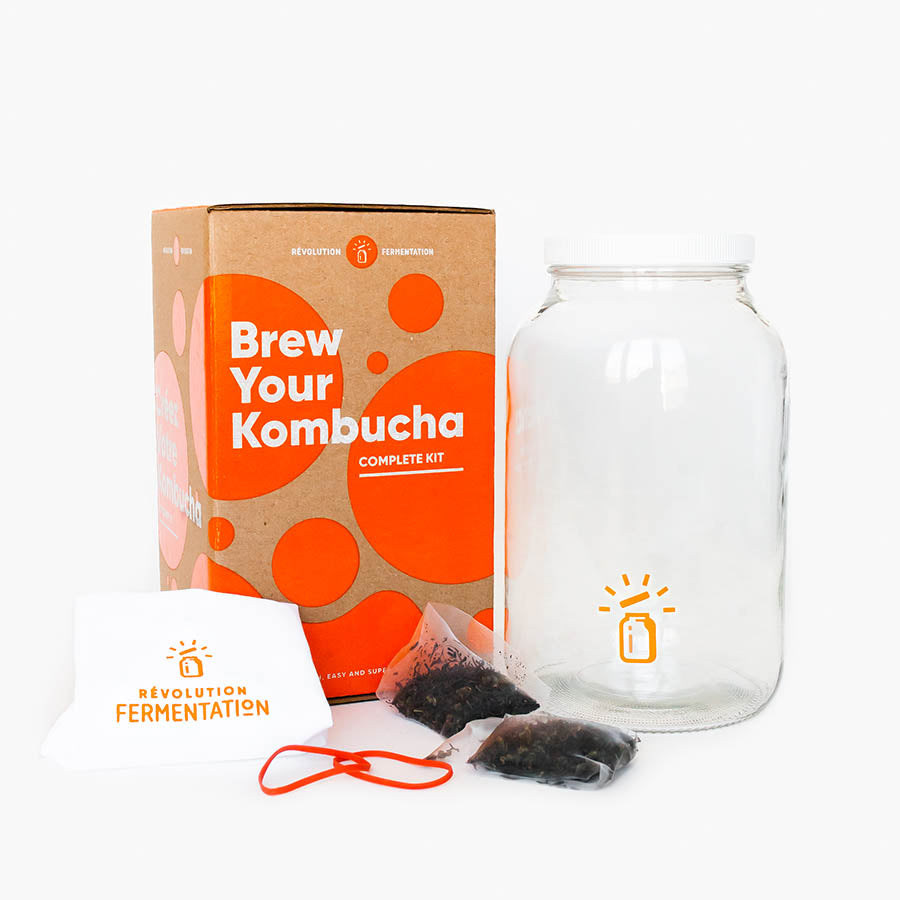 The Kombucha Company Starter Tea, 16 oz Bottle