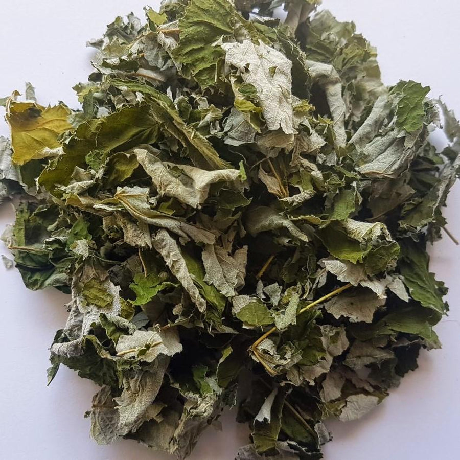 Wild Red Raspberry Leaves | Revolution Fermentation Canada