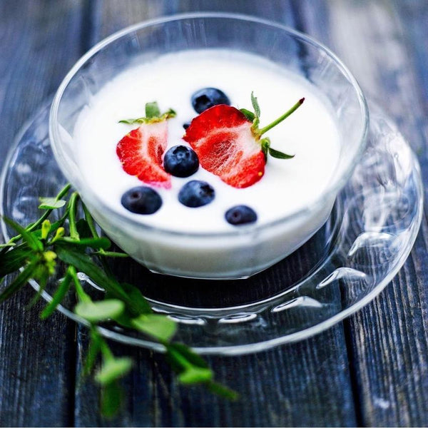 Viili scandinavian yogurt starter culture